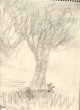 Tree and Flower sketch